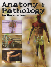 ANATOMY & PATHOLOGY