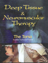 Deep Tissue & Neuromuscular Therapy - THE TORSO