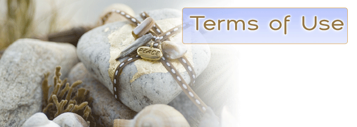 Terms of Use