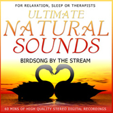 Ultimate Natural Sounds: Birdsong By The Stream